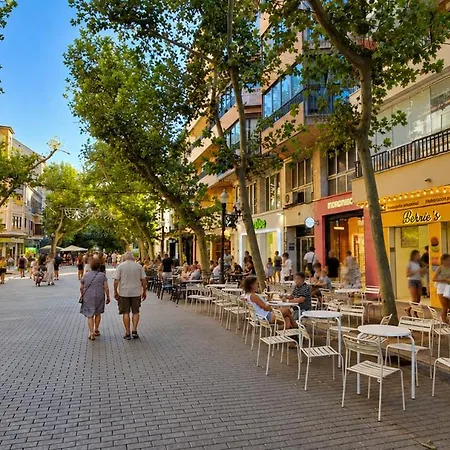 El Marqués En El Puerto De Dénia
